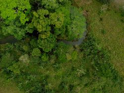 Luftbildaufnahme des CO2OL Tropical Mix Reforestation Projekts in der Provinz Darin in Panama